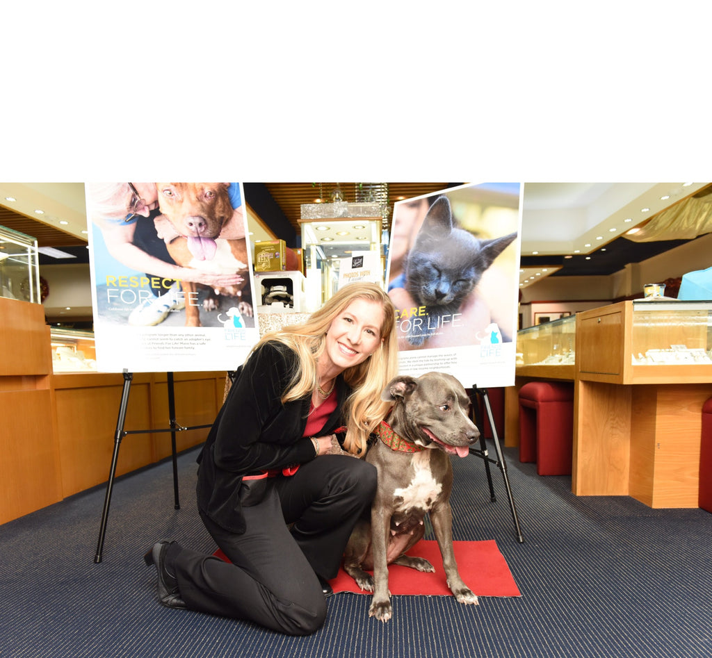Zadok Jewelers’ ‘Jewels of the Night’ Holiday Party 2015